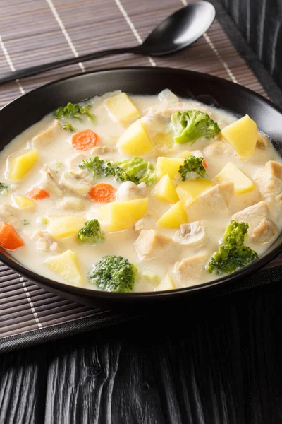 Japanese cream stew is a winter warmer, combining chicken and root vegetables with a savoury cream based sauce close-up in a plat — Stock Image Japanese Cream Stew Winter Warmer Combining Chicken Root Vegetables Savoury Stock Image
