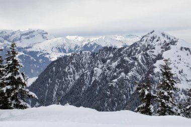 Alpler, Avusturya panoramik kış görünümü
