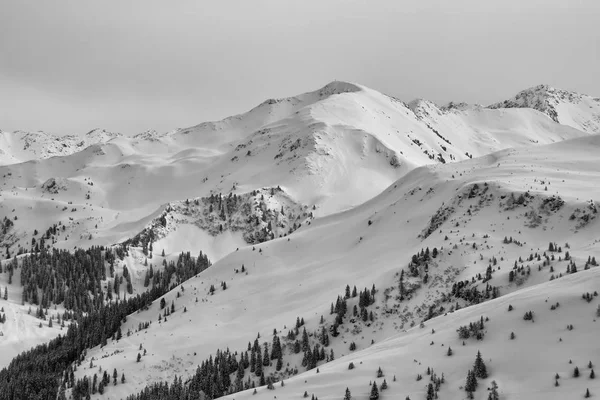 Panoramatická Zimní Pohled Alpy Černá Bílá — Stock fotografie