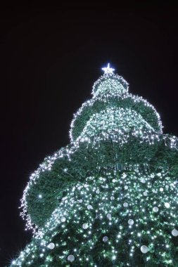 Siyah arka plan üzerine süslenen Noel ağacı,