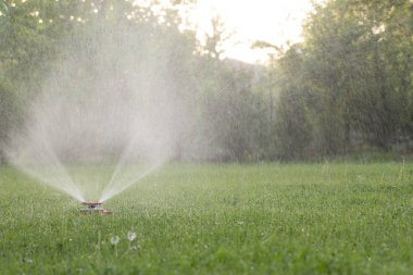 Modern sulama Bahçe aygıt. Bahçe yeşil çim sulama tekniği