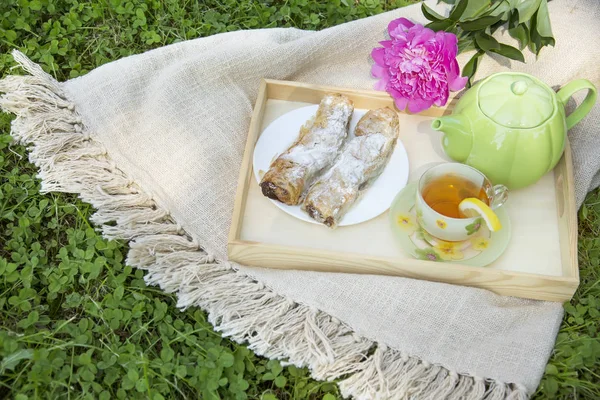 Odpolední Čaj Zahradě Piknik — Stock fotografie