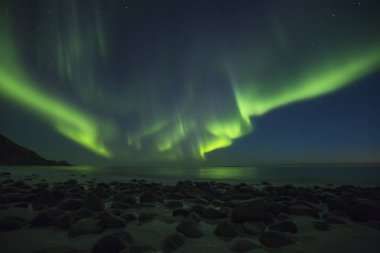 Aurora Borealis, Kuzey ışıkları Utakleiv Beach deki yaz gecesi, Lofoten Adaları, Norveç