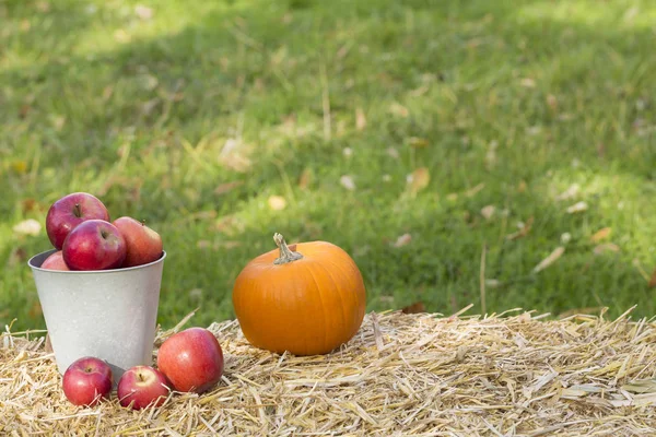 Concept Automne Suppléments Vitamines Fraîches Sur Pile Paille Sur Fond — Photo