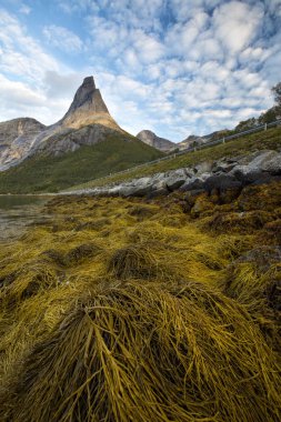 Norveç Ulusal Dağı, Stetind dağı (Kjpsvik tepe denir)