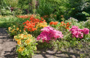 Park clingendael Lahey Hollanda'da