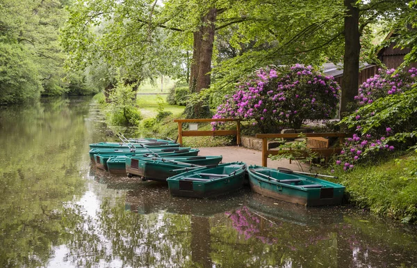 Groene boten en bloeiende rododendrons op de rivier — Stockfoto
