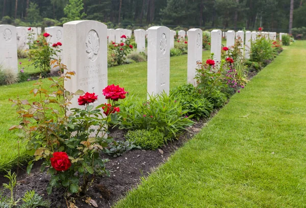 Gräber gefallener kanadischer Soldaten — Stockfoto