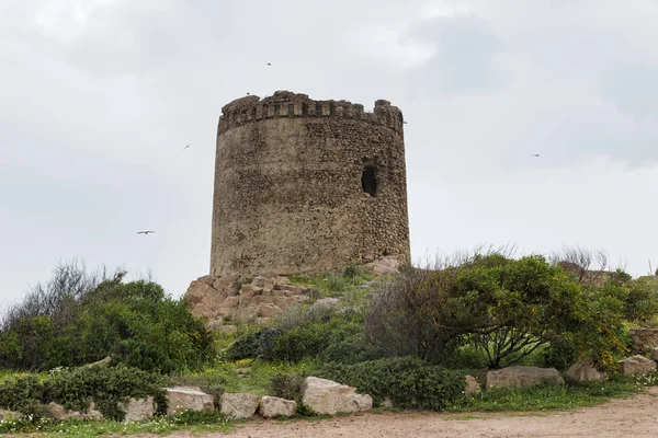 Nuraghe Szardínia szigetén — Stock Fotó