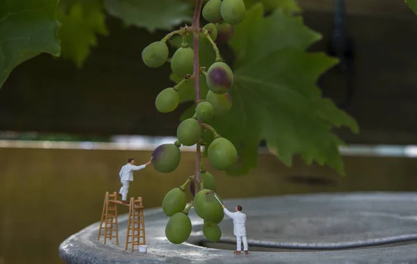 Weinig mensen figuren als schilder schilderij druiven — Stockfoto