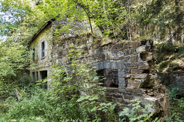 Vecchio edificio abbandonato nella foresta verde — Foto Stock