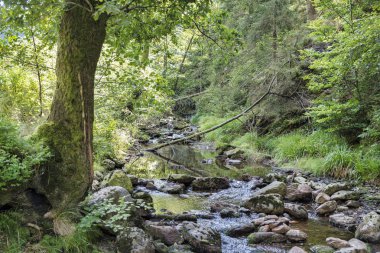 Belçika ardennes küçük su