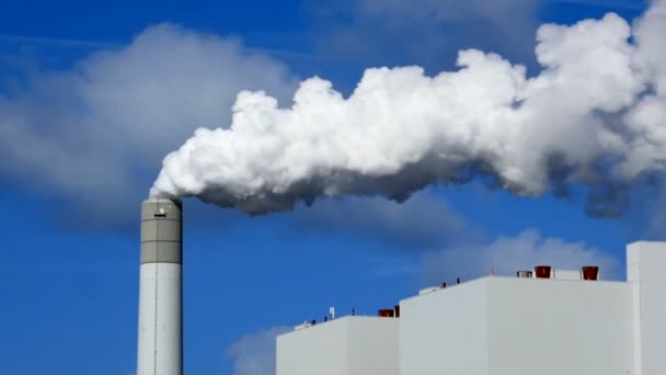 Poluição dos fumos de uma central eléctrica — Vídeo de Stock