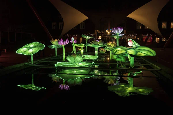 Chinese light festival with green flowers and water reflection — Stock Photo, Image