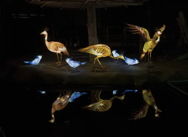 Festival cinese della luce con uccelli e riflessi d'acqua — Foto Stock