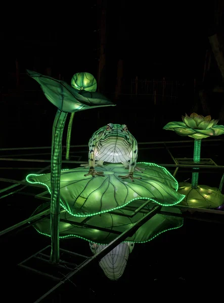 Chinese light festival with green frog — Stock Photo, Image