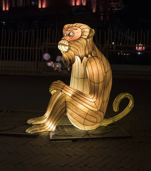 Chinese light festival with monkey — Stock Photo, Image