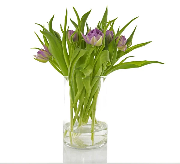 Vase avec tulipes roses sur fond blanc isolé — Photo