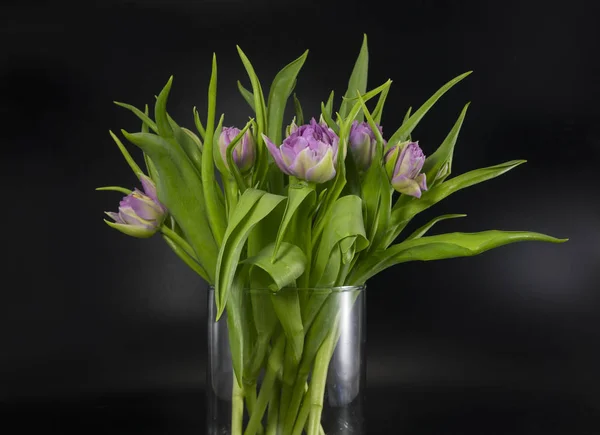 Vase avec tulipes roses sur fond noir isolé — Photo