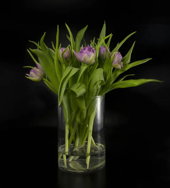 Vase mit rosa Tulpen auf schwarzem Hintergrund isoliert — Stockfoto