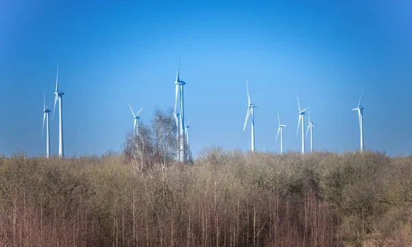 Parque de moinho de vento em holland acima das árvores — Fotografia de Stock