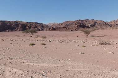timna Milli Parkı