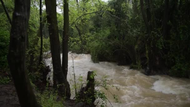 Floden i närheten av Banias i Israel efter kraftiga regn — Stockvideo