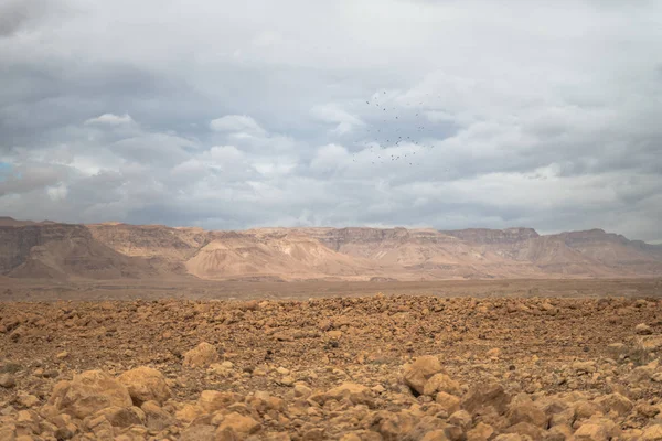 Rotsen bergen en woestijn van Israël — Stockfoto