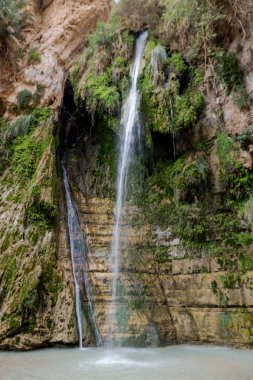 Milli Park Ein Gedi Şelalesi