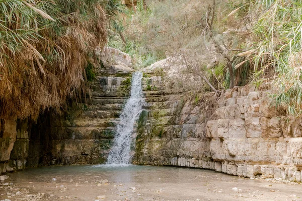 La cascada en el parque nacional Ein Gedi — Foto de Stock