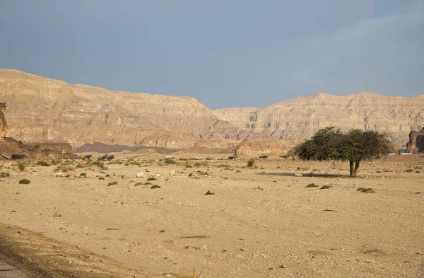 Tima parque nacional en israel — Foto de Stock