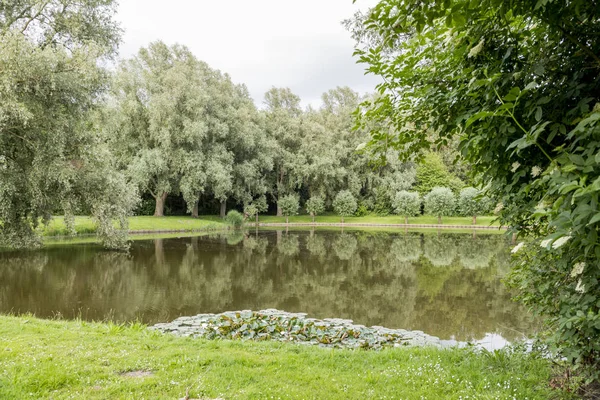 Big garden in park in holland — Stock Photo, Image