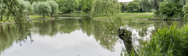 Большой сад в парке в Голландии — стоковое фото