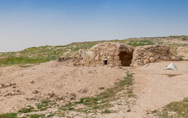 Maison de bedoins en israël — Photo