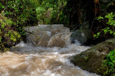 Kuzey Israil 'deki Banias Doğa rezervi
