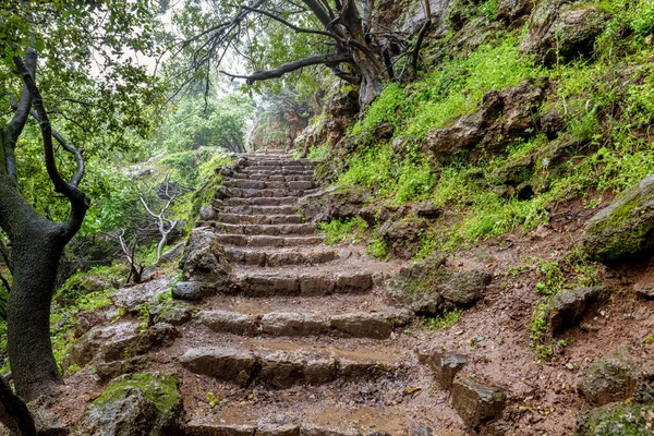 Banias Nemzeti Park Izrael — Stock Fotó