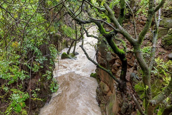 The Banias Nature Reserve in northern Israel — Stock Photo, Image