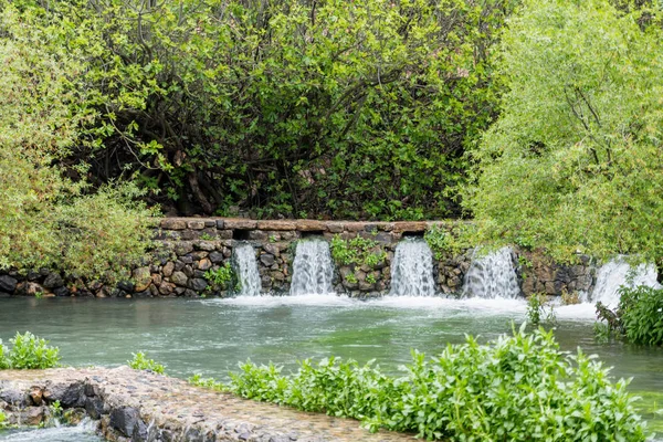 La fuente de manantial Banias del río Jordán —  Fotos de Stock