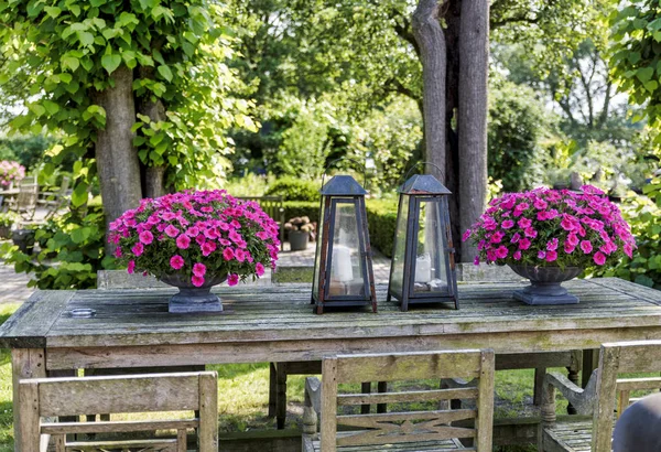 Garden with decoration on wooden table — Stock Photo, Image