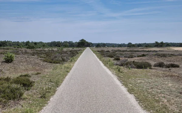 Parco nazionale il veluwe hooge — Foto Stock