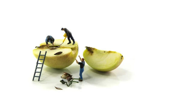 Piccole figure impegnate a rimuovere i semi dalla mela — Foto Stock