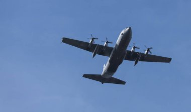 Uçak para dışkıları için ede yaklaşıyor.