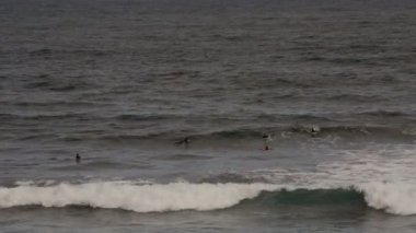 Madeira 'da dalgalarda sörf yapmak