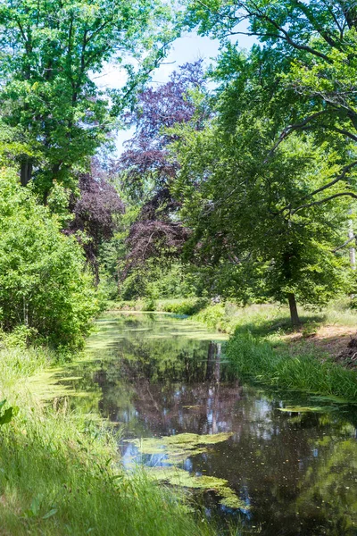 Nature en Holland avec vert et eau — Photo