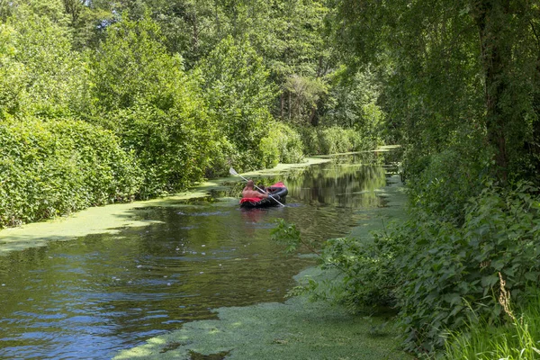 Мужчина и мальчик катаются на каноэ по реке в зеленой природе в низине — стоковое фото