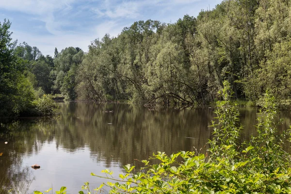 Natura w Holandii z zielenią i wodą — Zdjęcie stockowe