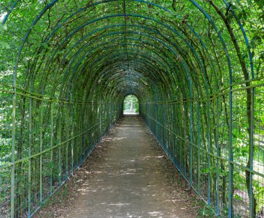 Bahçede büyümüş bir geçit.