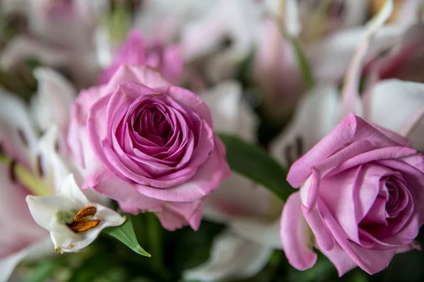 Närbild fotografi av en bukett lila rosor. — Stockfoto