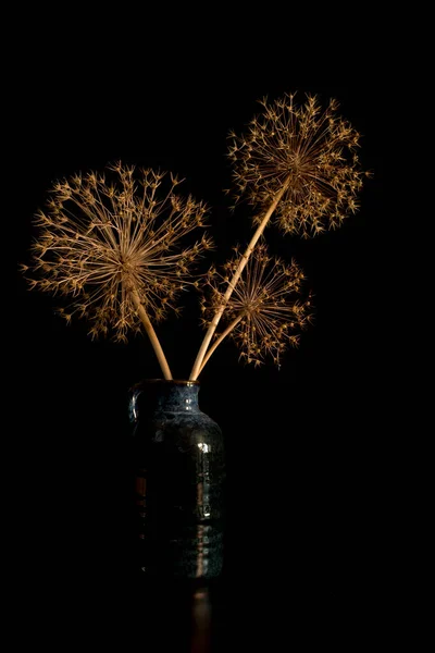 Vida morta vertical de vaso azul com flores de bulbo de cebola secas — Fotografia de Stock