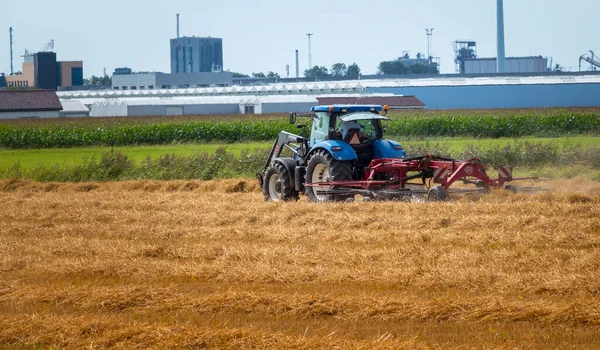 Agricoltore su trattore che taglia fieno in campo agricolo a maassluis, — Foto Stock